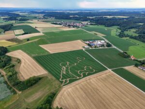 Es ist wieder Labyrinthzeit