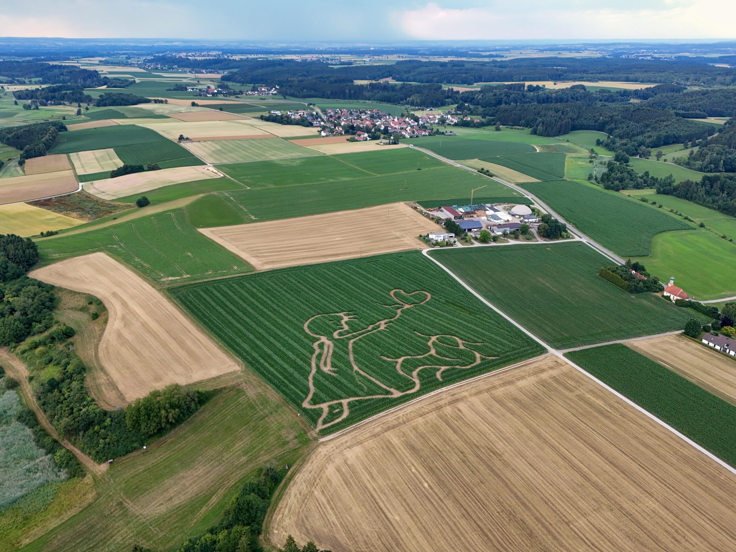Es ist wieder Labyrinthzeit