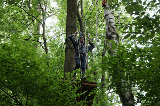 Waldseilgarten Wallenhausen Bild vom Parcour